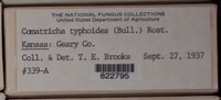 Image Associated With the Occurence